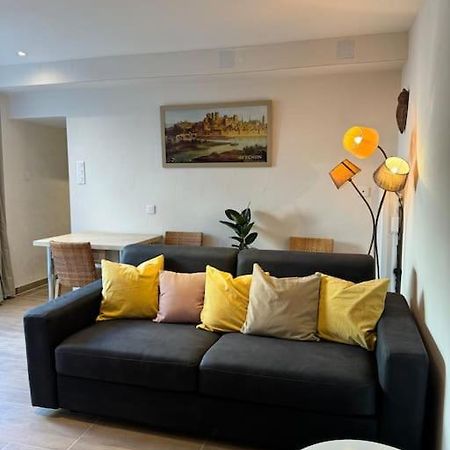 Appartement De Plain-Pied Avec Jardin Avignon Ngoại thất bức ảnh