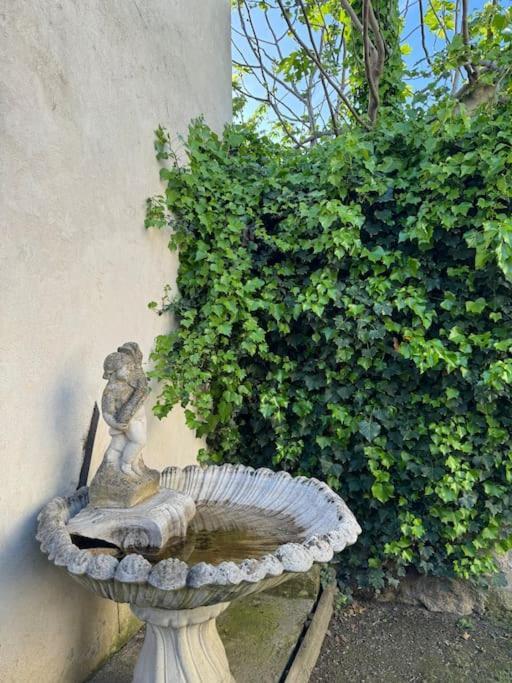 Appartement De Plain-Pied Avec Jardin Avignon Ngoại thất bức ảnh