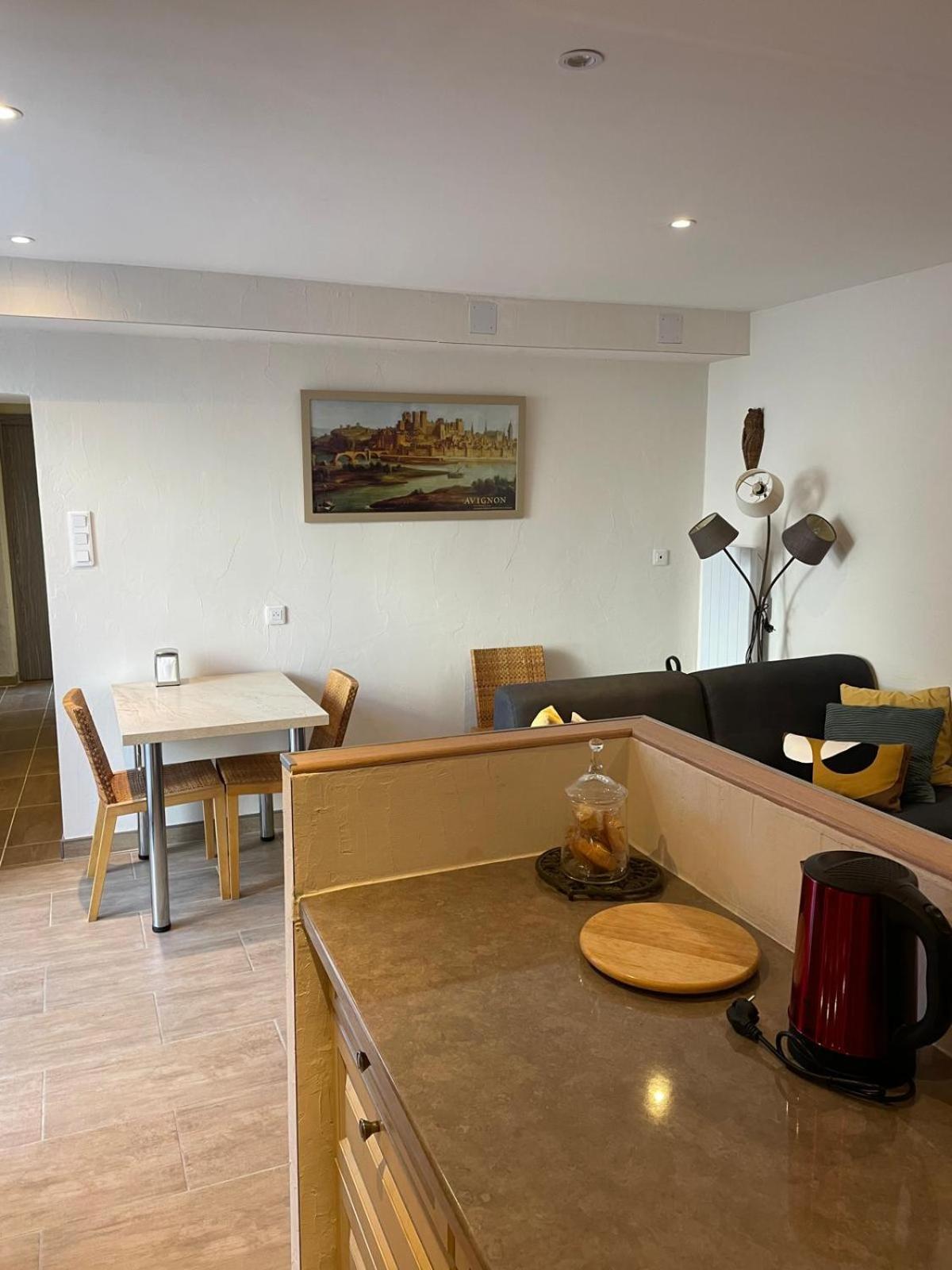 Appartement De Plain-Pied Avec Jardin Avignon Ngoại thất bức ảnh
