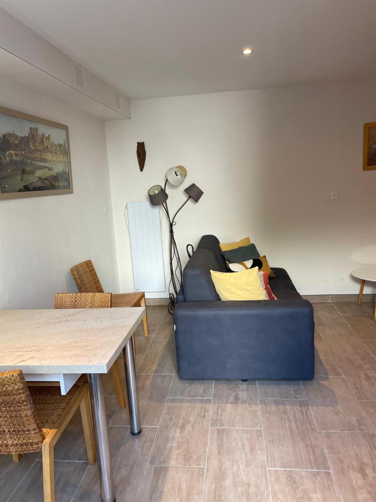 Appartement De Plain-Pied Avec Jardin Avignon Ngoại thất bức ảnh